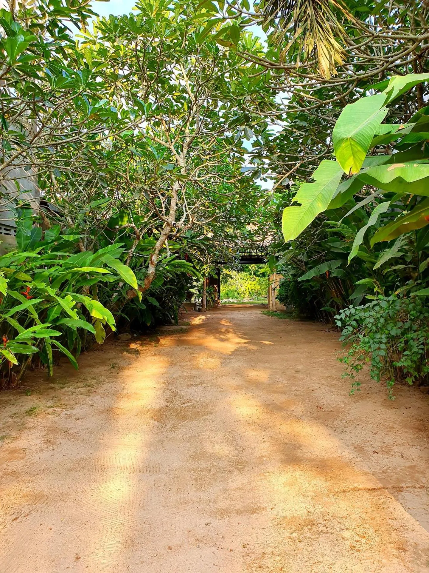 Dunes Unawatuna
